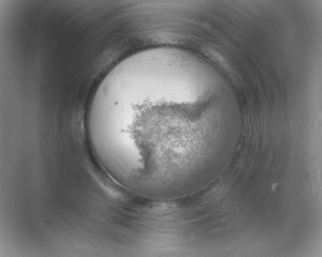 X0000068850398200605191957