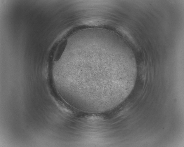 X0000068850400200605191956