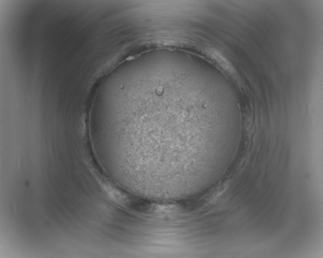 X0000068850401200605191956