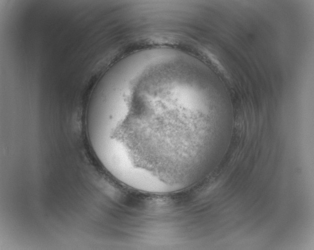 X0000068850402200605191956