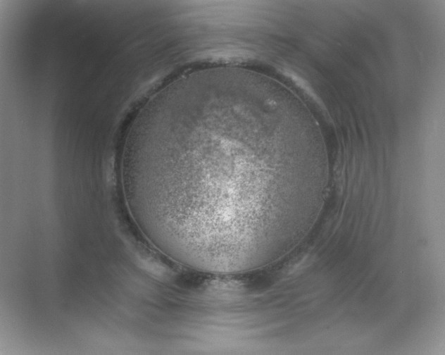 X0000068850403200605191956