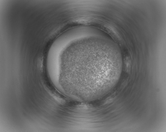 X0000068850404200605191956