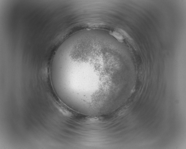 X0000068850405200605191956