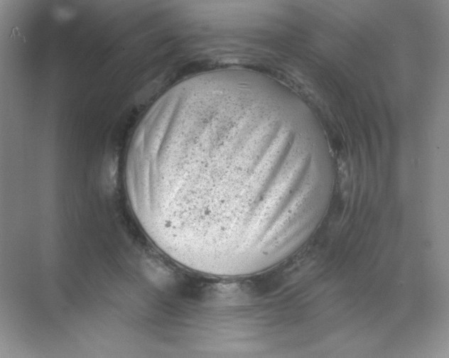 X0000068850406200605191956