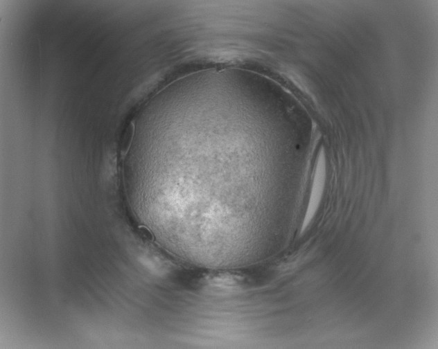 X0000068850407200605191956