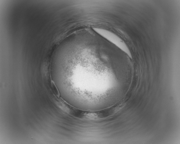 X0000068850409200605191956