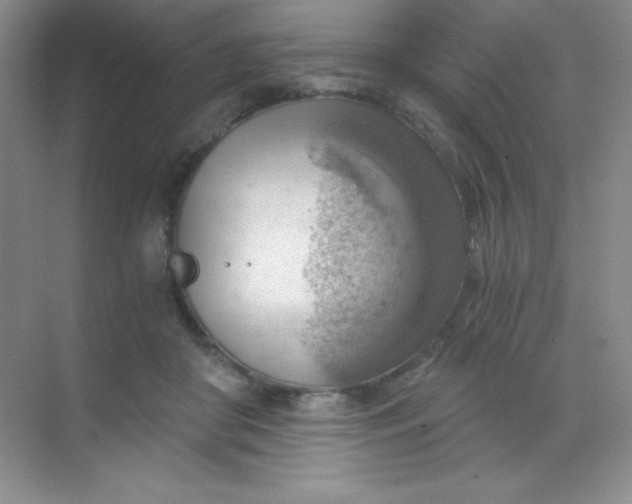 X0000068850410200605191956