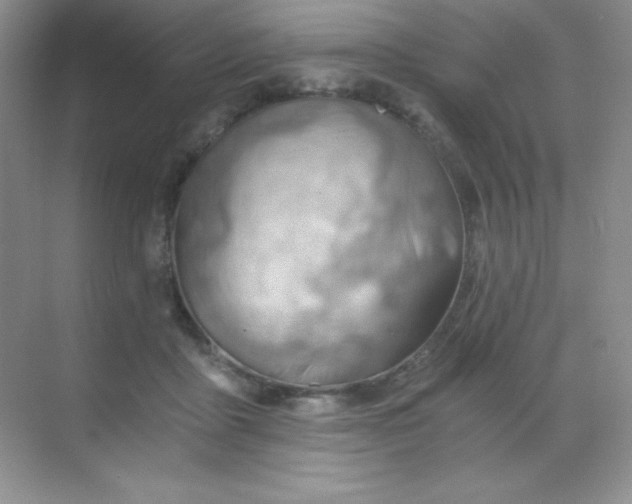 X0000068850411200605191956