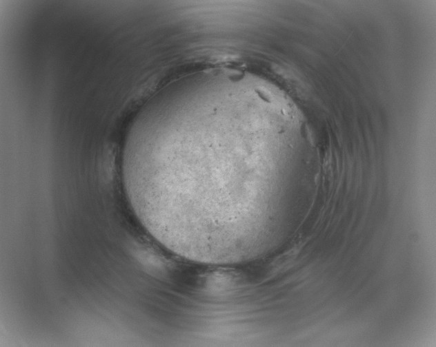 X0000068850412200605191956