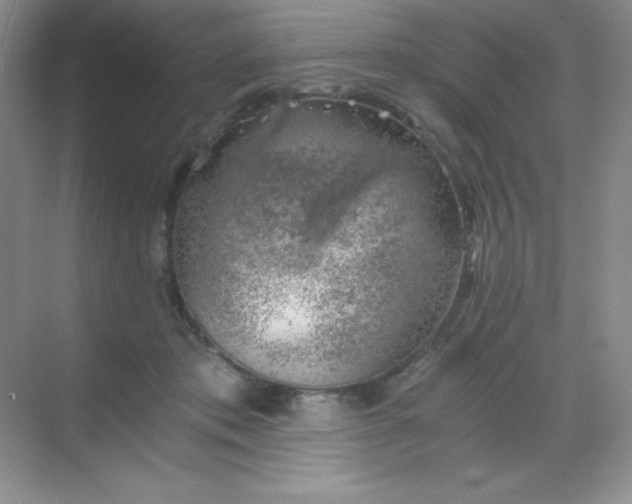 X0000068850413200605191956