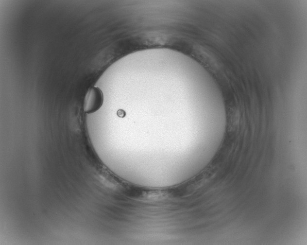 X0000068850414200605191956