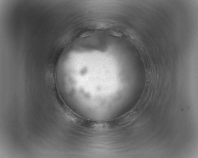 X0000068850415200605191956