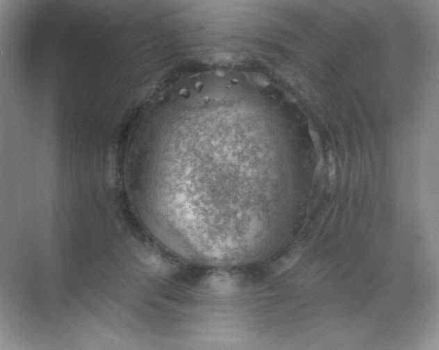 X0000068850416200605191956