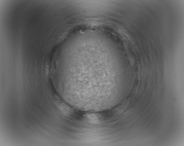 X0000068850417200605191956