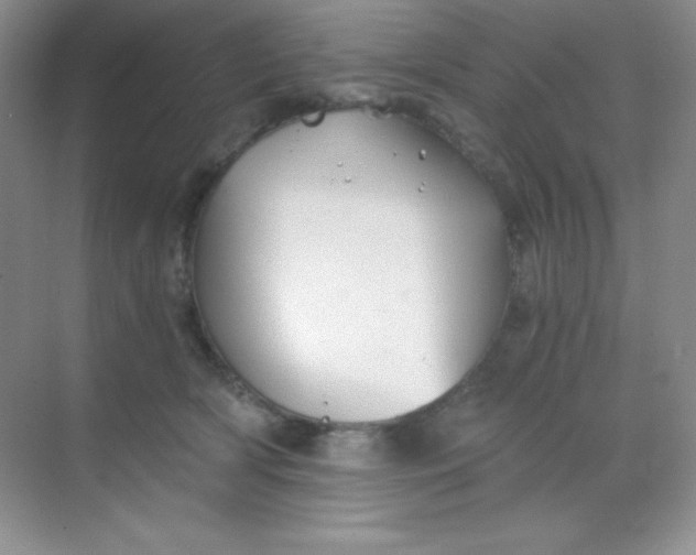 X0000068850418200605191956