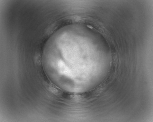 X0000068850419200605191956