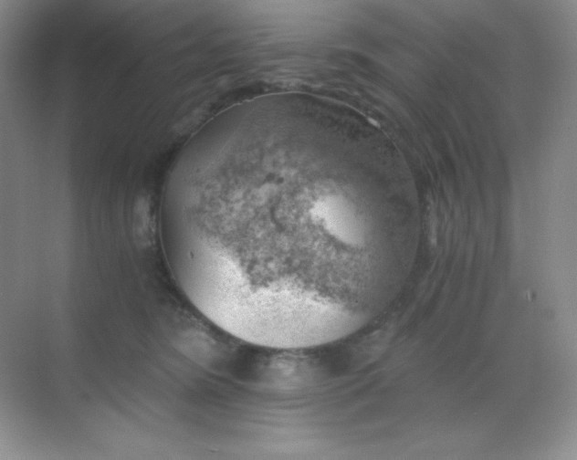 X0000068850420200605191956