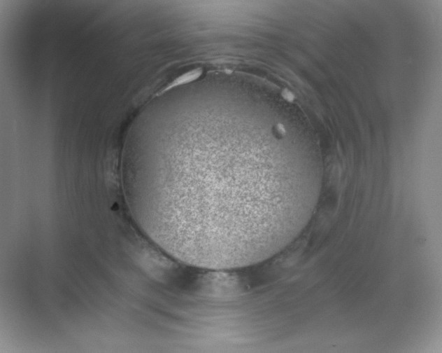 X0000068850421200605191956