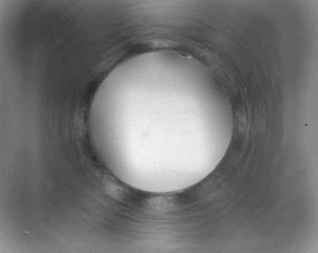 X0000068850422200605191956