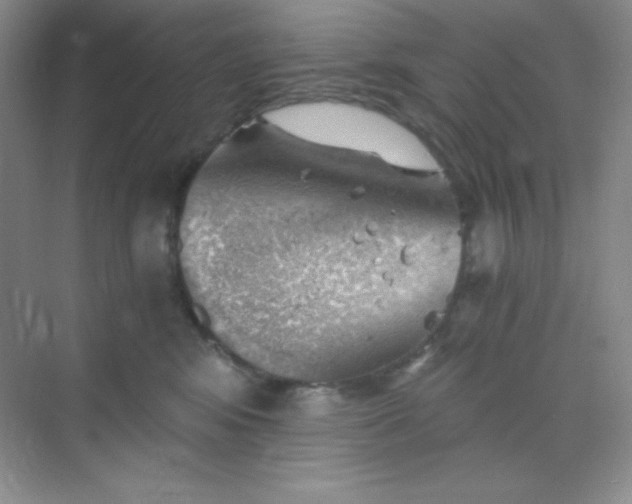 X0000068850424200605191956