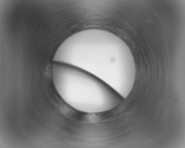 X0000068850425200605191956