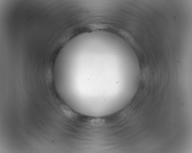 X0000068850426200605191956