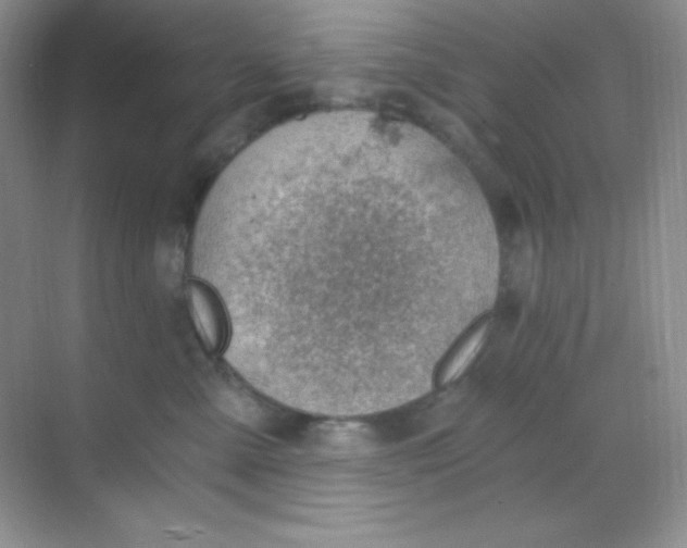 X0000068850427200605191956