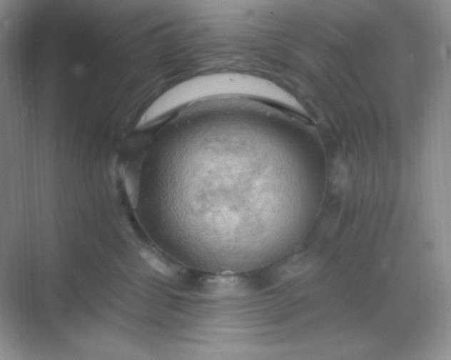 X0000068850428200605191956