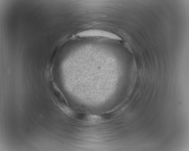 X0000068850429200605191956