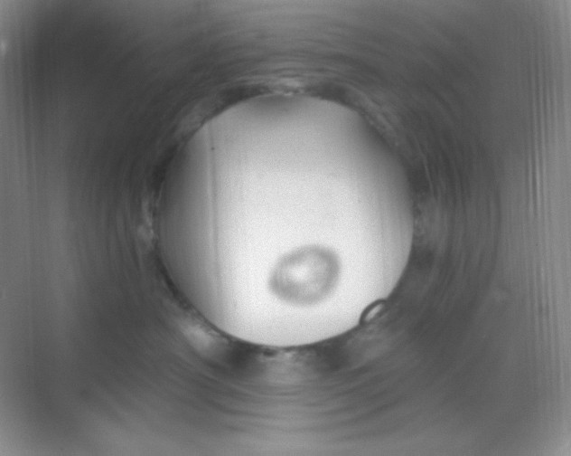 X0000068850430200605191956