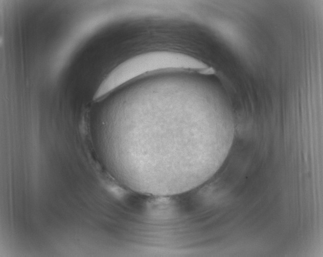 X0000068850431200605191956