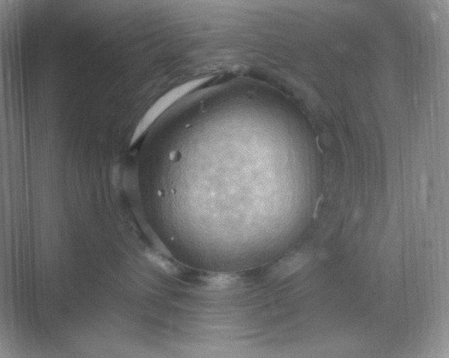 X0000068850432200605191956