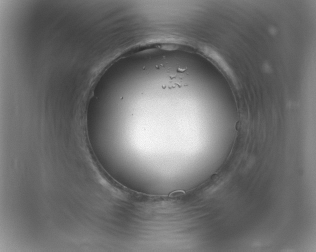 X0000068850433200605191955