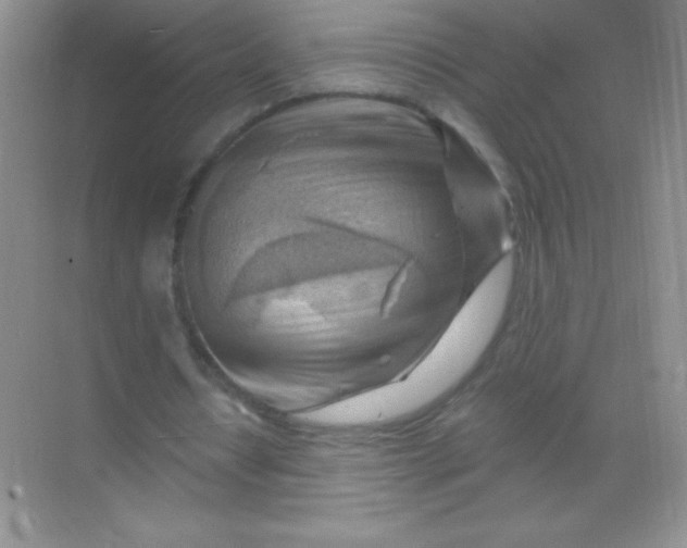 X0000068850434200605191955