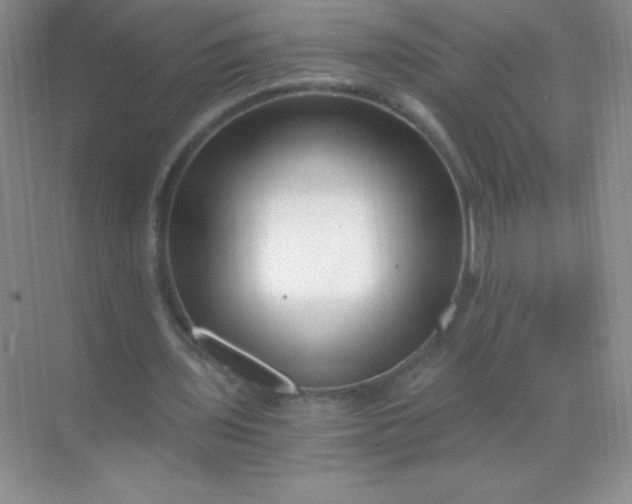 X0000068850435200605191955