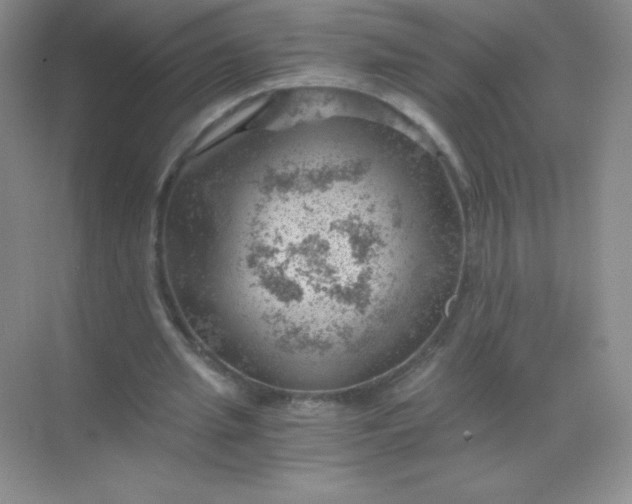 X0000068850437200605191955