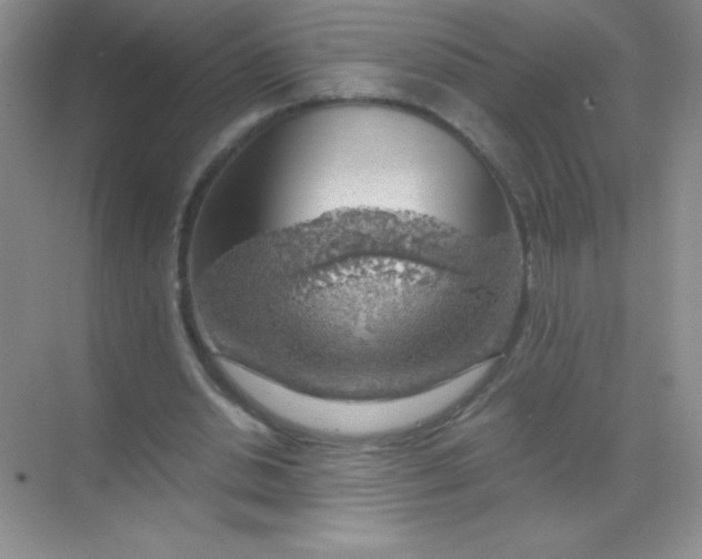 X0000068850438200605191955