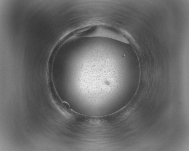 X0000068850439200605191955