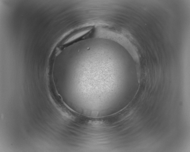 X0000068850440200605191955