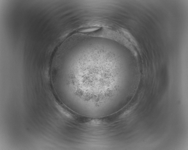 X0000068850441200605191955