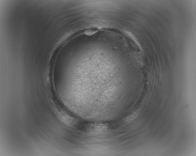 X0000068850443200605191955