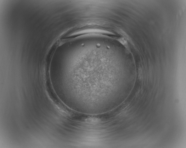 X0000068850444200605191955