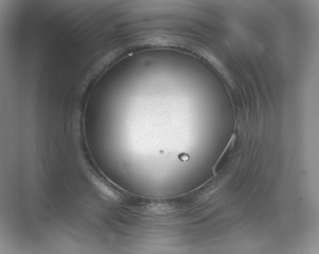 X0000068850445200605191955