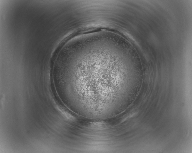 X0000068850446200605191955