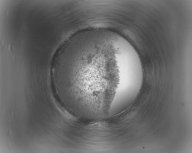 X0000068850447200605191955