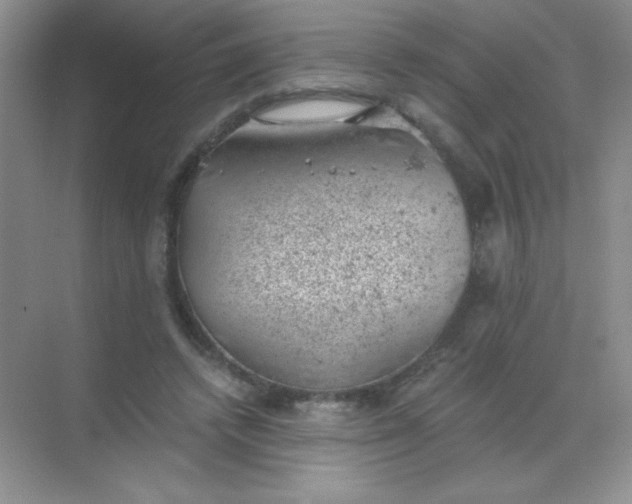 X0000068850448200605191955