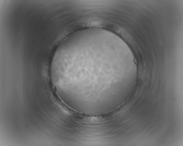 X0000068850449200605191955