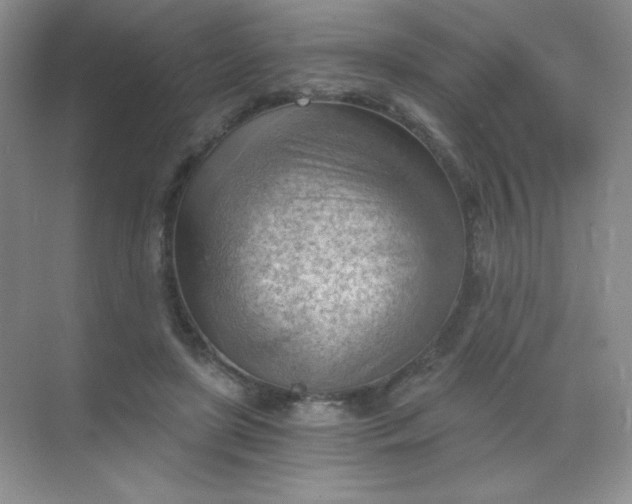 X0000068850451200605191955