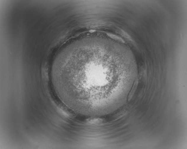 X0000068850452200605191955