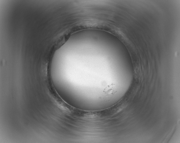 X0000068850454200605191956